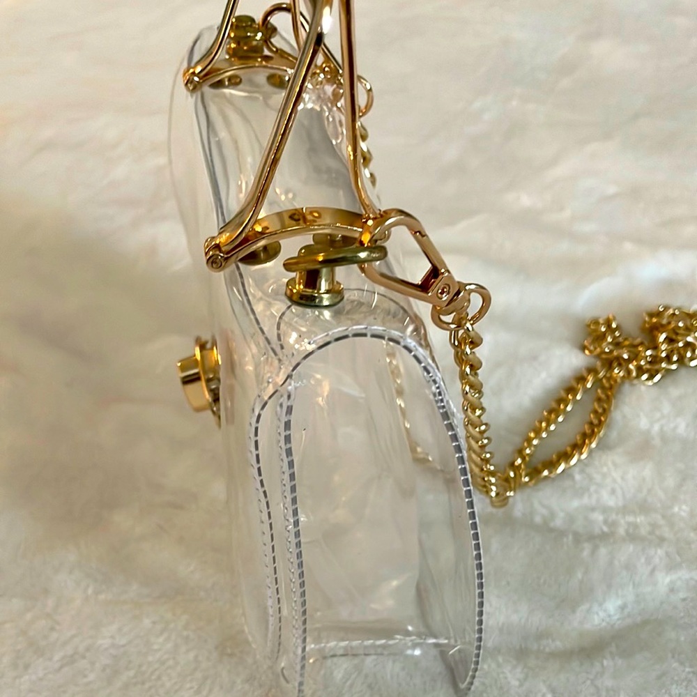 Transparent Mini Handbag With Gold Hardware